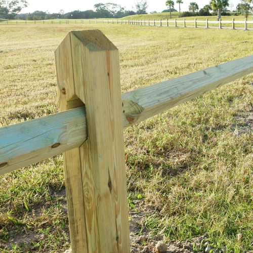 Pressure-Treated Lumber Posts - Uploaded Image