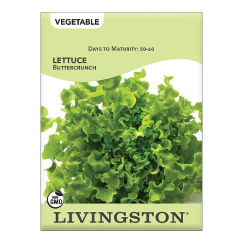 Garden Seed
Livingston Lettuce Buttercrunch